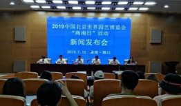 海口市新闻爆料,聚焦城市动态与民生焦点