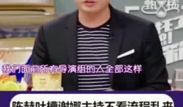 陈导演直播爆料视频,幕后故事大公开