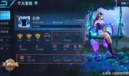 王者英雄人鱼爆料视频,王者峡谷新秀揭秘