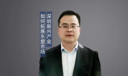 深汕合作区新闻爆料网,最新动态盘点，合作区发展脉搏速览