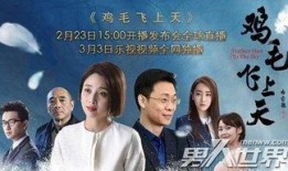 鸡毛飞上天免费在线观看,创业传奇，情感纠葛，尽在这部励志大剧！