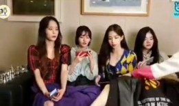 女团成员爆料娱乐圈,女团成员揭露惊人爆料