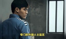 吴某监狱爆料事件视频最新,揭秘监狱内幕，真相令人震惊