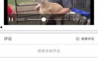 小程序搞笑新爆料视频,笑点满满，快来一睹为快！