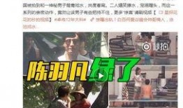 张先生近日爆料视频大全,近期热门爆料视频大盘点