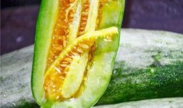 网红晨曦吃瓜,揭秘网红圈幕后故事