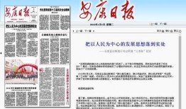 今日关注南三一村长爆料,揭秘村庄发展背后的故事