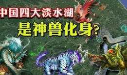 最新爆料四大神兽