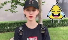 秦奋女友爆料视频大全集,揭秘背后惊人真相