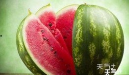 qq群免费吃的瓜,一场别开生面的“瓜”界盛宴