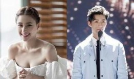 媒体爆料何超莲事件视频