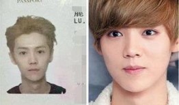 娱乐八卦最新爆料明星,当红明星背后的惊人真相！