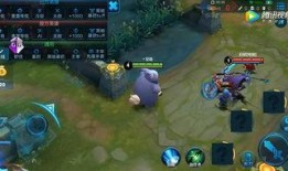 流萤技能爆料视频在线观看,揭秘神秘新技能，视觉盛宴即将开启！