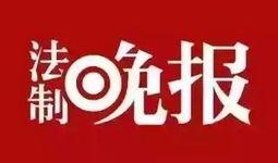 上海新闻线索爆料,最新线索爆料揭示城市动态