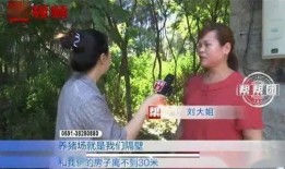 沭阳刘大姐爆料视频曝光,揭秘背后惊人真相