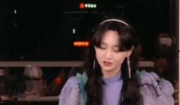 郑爽被爆料视频,真相与争议交织