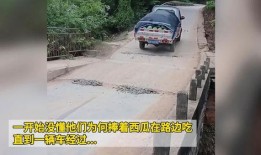 路边吃瓜跳桥视频下载免费,揭秘事件真相