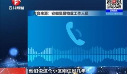 蒙城新闻爆料电话,揭秘幕后故事