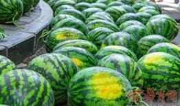 学校网红椅子吃瓜,校园生活新潮流