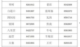 大琪爆料开播时间表最新,最新开播时间表大揭秘，精彩不容错过！