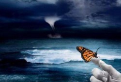 蝴蝶效应在线观看,揭秘命运轨迹的微妙转折