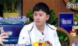 何炅老家爆料视频,一段关于童年记忆的温馨回忆