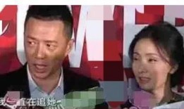 娱乐圈爆料是掩盖什么的,揭开真相背后的掩盖面纱