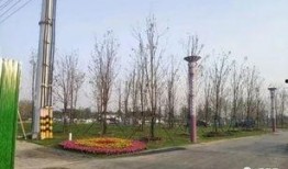 周口森林公园爆料视频大全,独家爆料视频大盘点