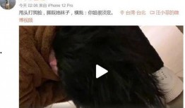 汪小菲凌晨爆料视频在线观看,揭秘背后真相