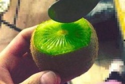 在哪吃抖音网红瓜啊,瓜分美食新潮流