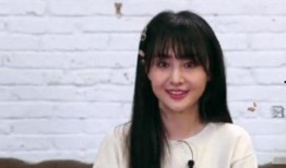 郑爽被爆料视频,真相与争议交织