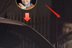 贾玲最新爆料视频,笑中带泪的幕后故事
