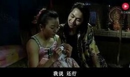 坏哥哥电影在线观看,在线观影，揭秘兄弟情仇的黑暗面