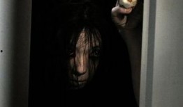 咒怨美版在线观看,揭秘恐怖之源！