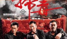 怒火风云在线观看,热血激战，复仇之路