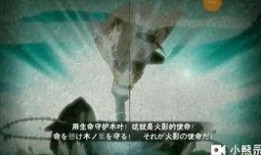 火影水门最新爆料视频