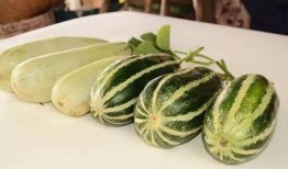 网红吃瓜免费群,揭秘娱乐圈幕后真相