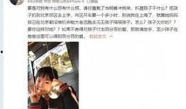 枫丹爆料视频最新,全新游戏内容与玩法前瞻