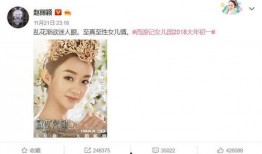 爆料赵丽颖被告了吗视频,真相揭秘与视频爆料