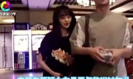 郑爽的爆料视频在线观看