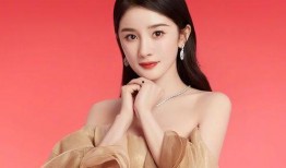 杨幂爆料家族视频播放全集,揭秘明星家族背后的温馨故事