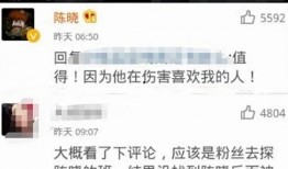 陈晓粉丝爆料视频,揭秘明星幕后生活片段
