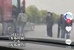 辽宁最新爆料事件视频,视频揭露惊人真相