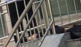 石家庄爆料女子死亡视频