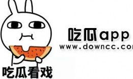 网红吃瓜国产网站,揭秘国产网站热门事件背后的真相