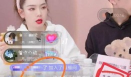 嘴哥老婆爆料视频大全集,揭秘娱乐圈背后的真实故事