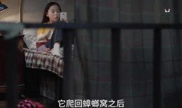 小朋友爆料秘密视频播放,一场意外的网络风暴