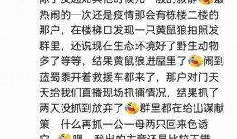 qq群免费吃的瓜,一场别开生面的“瓜”界盛宴