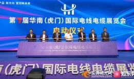 东莞热点新闻爆料视频,揭秘视频爆料背后的真相与影响