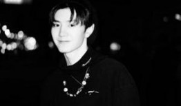 明星爆料陈哲远视频,揭秘明星幕后生活点滴